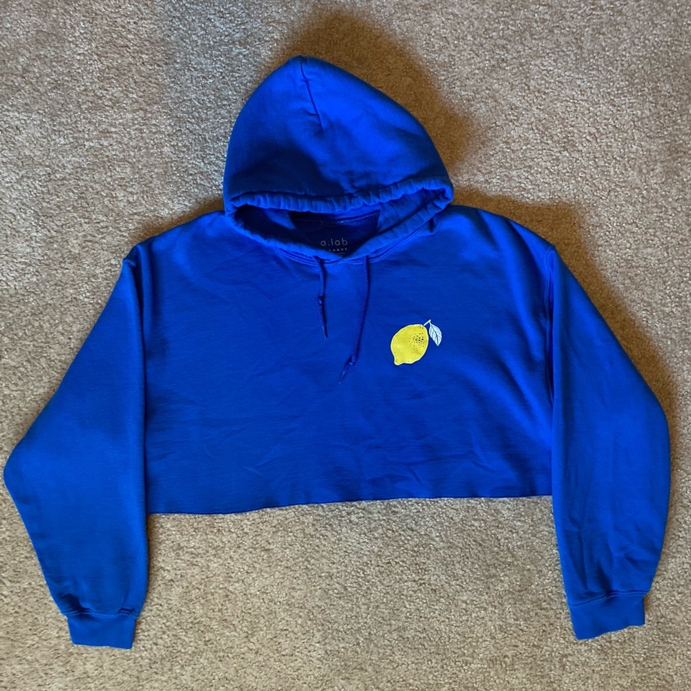 Blue Lemon Crop Top Sweater